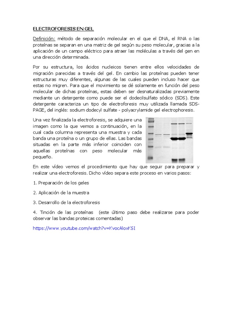 Electroforesis | PDF