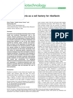 Riboflavin - Lavtobacillus PDF
