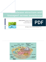 Membrane Cell Dan Transport Membrane 27 02 2013