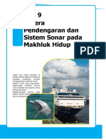 Bab 9 Indera Pendengaran Dan Sistem Sonar Pada Makhluk Hidup