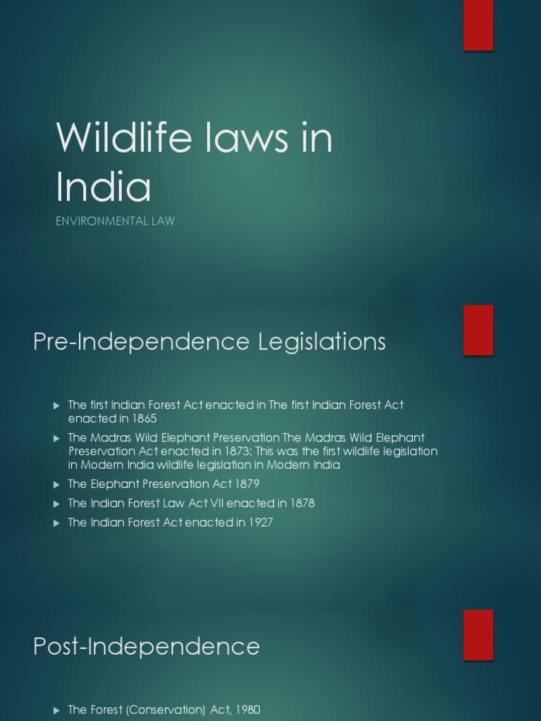 Hidden Wildlife Laws What Your State Isnt Telling You - 3ia4igv
