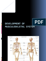 Embryology Muscularskeletal System