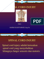 Spinal Cord Injury