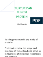 Struktur Dan Fungsi Protein: Joko Marwoto