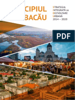 01-Analiza Etapa1 Sidu-Bacaua Rev-2 PDF
