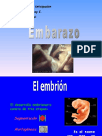 Embarazo y Desarrollo Embrionario