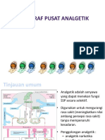 6 Analgetik 2015