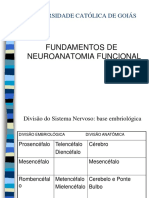 Neuroanatomia Completa