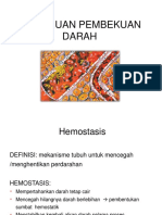 Gangguan Pembekuan Darah Dan Hemostasis