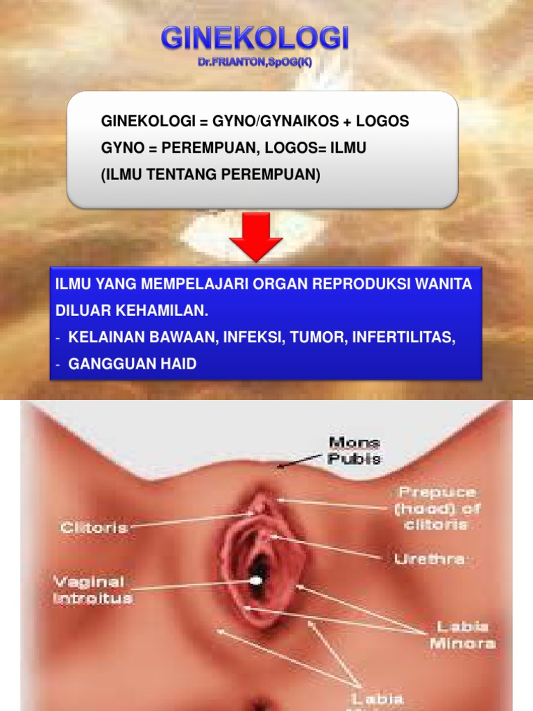 Sohilda yalangoch sochli