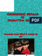 Cromatina Sexuala