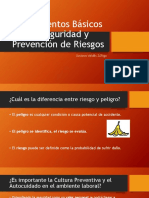 Fundamentos Básicos de Seguridad y Prevención de Riesgos1