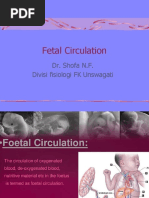 Fetal Circulation Flow Chart | PDF