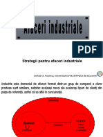 Strategii pentru afaceri-2018.pdf