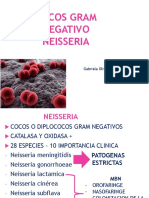 BACTERIOLOGIA AULA 14 - COCOS GRAM NEGATIVO NEISSERIA.pdf