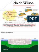 4_CICLO_DE_WILSON.pdf