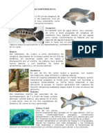 ANIMALES DE LA FAUNA GUATEMALTECA.docx