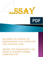 Essay