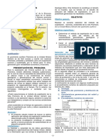 Selección, Aplicación y Sostenibilidad Del Método de Explotación Corte y Relleno Ascendente de La Veta Filomena