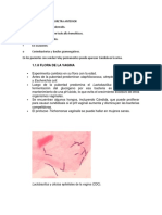Lactobacillus y Células Epiteliales de La Vagina (CDC)