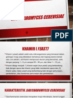 ppt mikropang.pptx