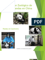 Pandas