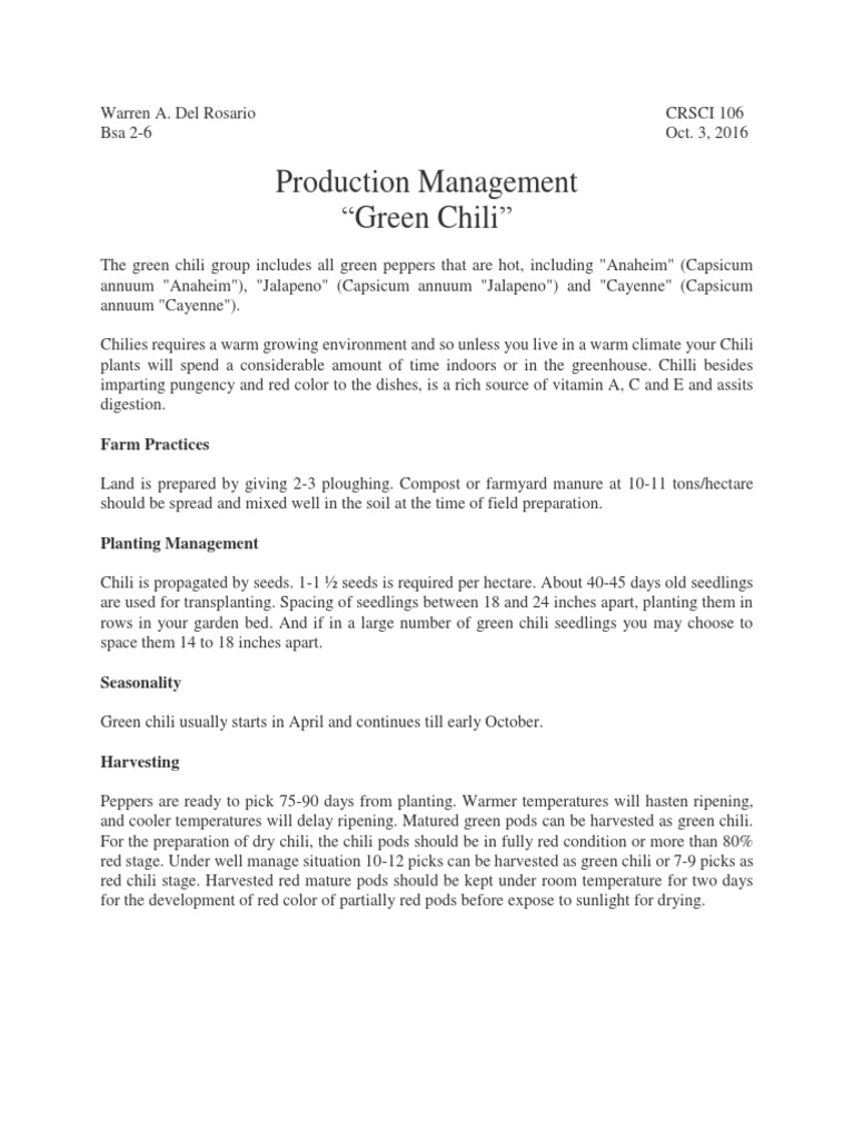 Green Chili Productions PDF