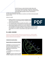 Pu Garay Final Resumen Completo PDF