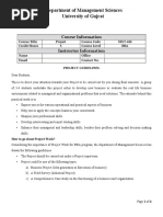 MGT-416 Project Outlines