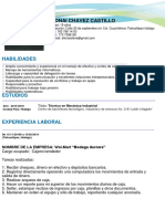 40 Curriculum Vitae Locura Azul