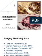 Cognitive Science 17 Peeking Inside The Head: Jaime A. Pineda, PH.D