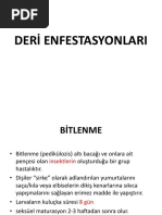 Deri Enfestasyonları