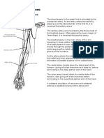 Arterial & Venous Trees