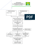 Pathophysiology Diagram Final
