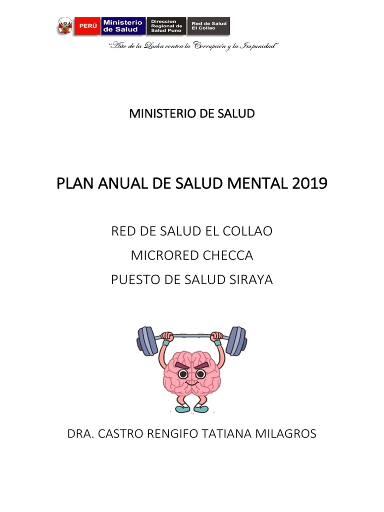 Plan Anual de Salud Mental 2019 | PDF | Salud mental | Violencia doméstica