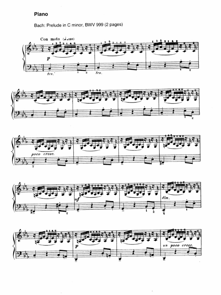 Prelude BWV 999 - J. S. Bach
