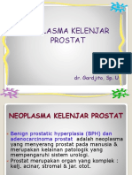 Neoplasma Prostat