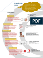 Infografia de CTA