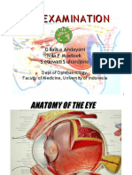 Pemmataccm PDF