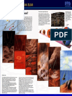 1 Geofisika umum.pdf