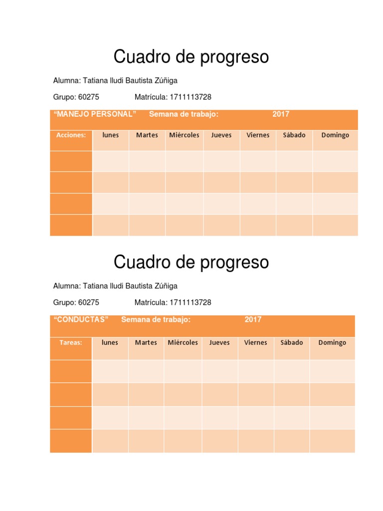 Cuadro de Progreso | PDF