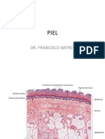 Piel PDF