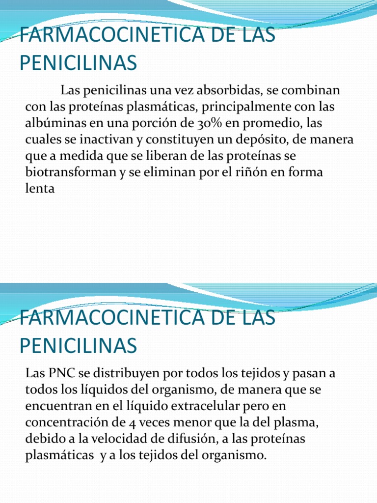 de Las Penicilinas Farmacocinética Penicilina