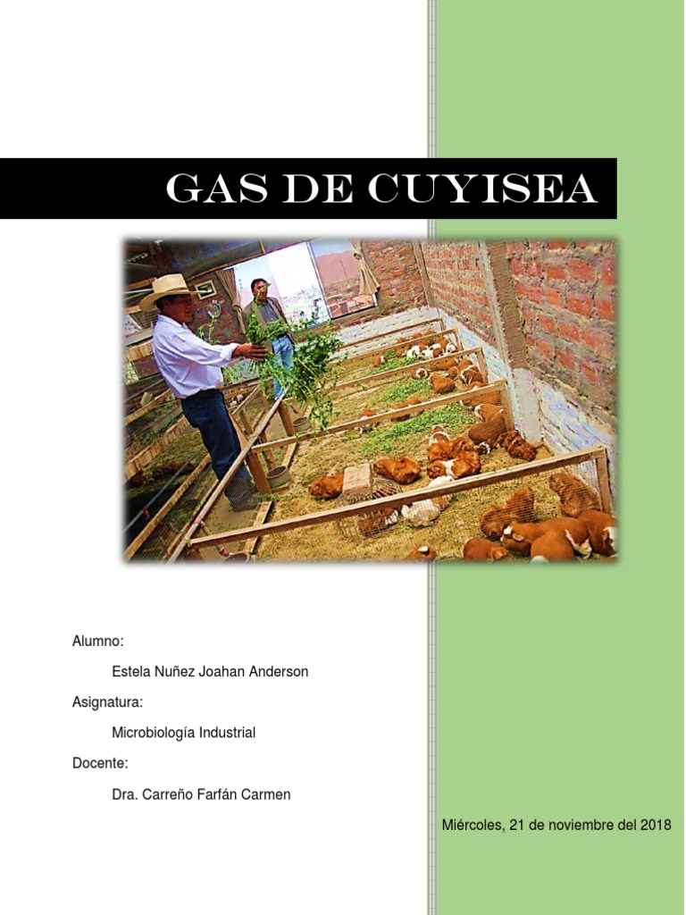 Metanogenesis - GAS CUYISEA | PDF | Química | Naturaleza