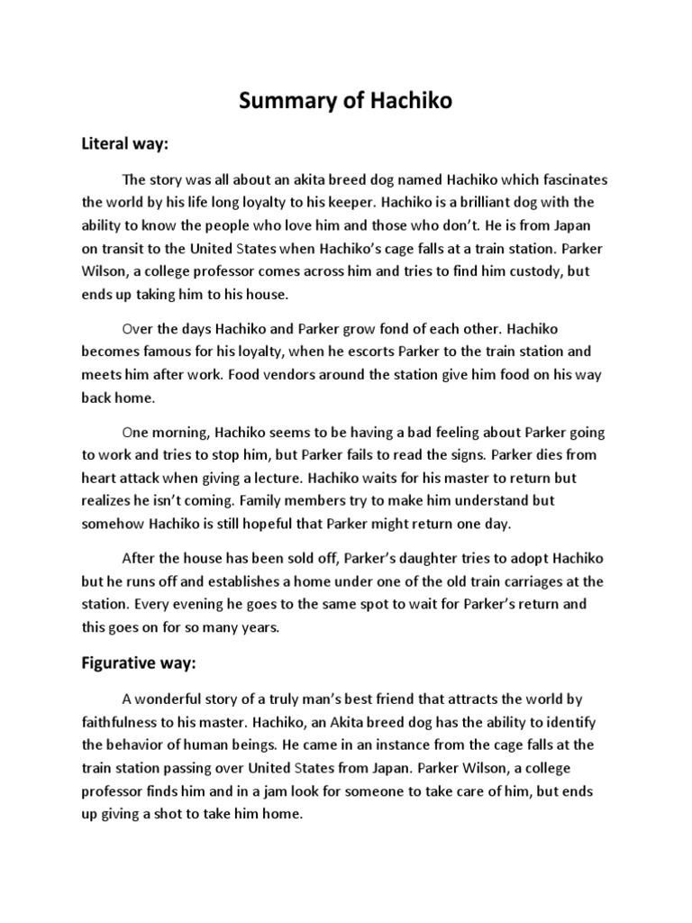 Summary of Hachiko Literal way