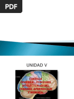 Exposicion Anatomia