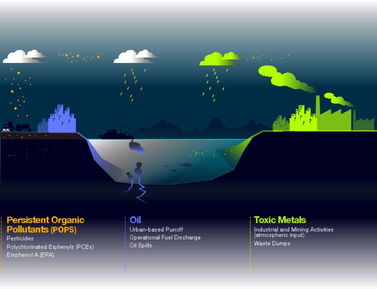 Urban Oil Pollution and Toxic Contaminants | PDF | Polychlorinated ...