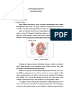 LP Ca Renal