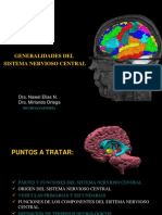 GENERALIDADES DEL SNC.ppt