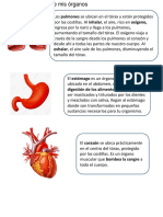 Los Alimentos Nos Aportan